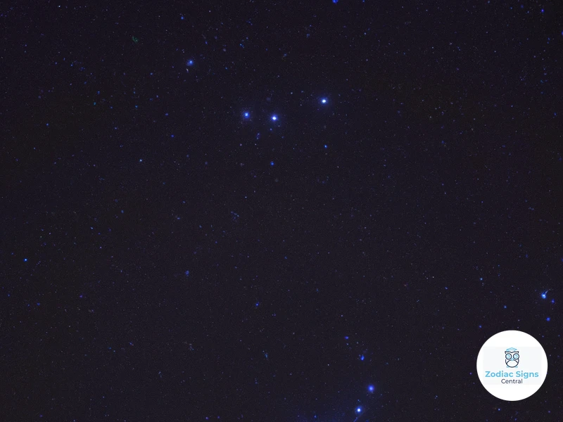 Sagittarius ♐ (November 22 - December 21)
