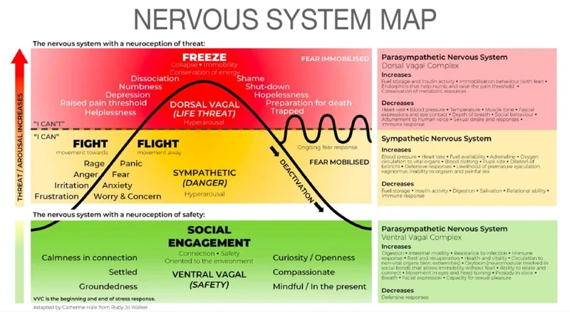 Understanding Trauma